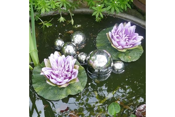 Storm's Gartenzaubereien Mini étang complet avec 2 nénuphars artificiels violets – Boules de bassin argentées