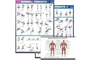 GENERIC Gym Posters Set – Dumbbell Workout Charts (16"x24") – Home Gym Decor, Exercise Guide for Men & Women (3)