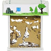 Alimento Per Formiche AntHouse Blue Sugar - 50 Ml, A Base Di Zucchero, Integratore Energetico Per Terrari - Foto 11