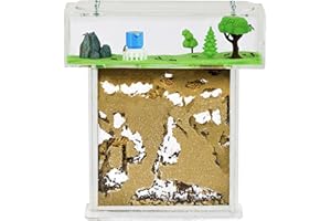 AntHouse - Fourmilière Naturelle en Sable | Kit T Acrylique 15x15x1,5 cm | Fourmis Incluses