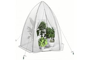 UDPATIO Überwinterungszelt Foliengewächshaus 160x180cm, Gewächshaus für Pflanzen, Rolltür mit Reißverschluss und Mesh-Fenster, PE-Plane Pflanzenhaus, wetterfest Pflanzenschutz Winterschutz