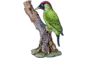 Vivid Arts - Décoration d'intérieur ou de jardin Pic vert (WBC-GWPK-B)