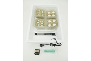 Campo24 ST1 Reptilien Inkubator Brutkasten Brutmaschine Brutapparat Brüter Incubator