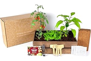 NAUKUA Mini Huerto Urbano Vintage - Semillas Orgánicas de España - (Lechuga, Rábanos, Pimientos Verdes y Tomates Cherry) - Kit Completo para Cultivar tus Hortalizas Frescas en Casa