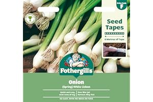 MR FOTHERGILLS Fothergill's Onion (Spring) White Lisbon Winter Hardy, Vegetable Seeds, 650 Seeds, Sow: Mar-Sep