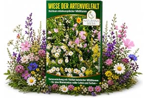 Naturana Seeds – äng av mångfald – blomsteräng utan gräs, kulturväxter och exotiska frön – utsäde för fleråriga vinterhårda bin – frön av vilda blommor blandning trädgård