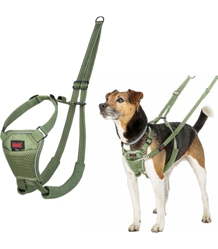 Spark Paws Hondenregenjas, waterdichte winddichte regenjas, voor kleine, middelgrote, extra grote honden, reflecterend, ademend, volledig bedekkend droog pak - groenbruin bruin, M