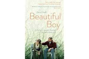 Beautiful Boy : A Father's Journey Through His Son's Addiction