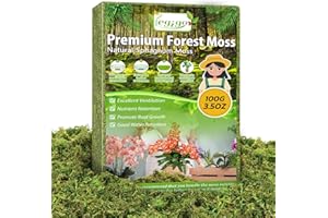 Legigo 100g Real Green Moss for Crafts, 4L Natural Decorative Moss for Potted Plants Floral Terrarium Decoration, Dried Plant for Artificial Fairy Gardens, Live Garden, DIY Craft Projects