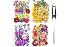 Cayway 160 PCS Fleurs Séchées Mélangées Kit avec Pince à Épiler et Ciseaux, Fleurs Pressées Séchées Naturelles pour L'artisanat d'art de Bricolage, Les Bijoux en Résine Epoxy