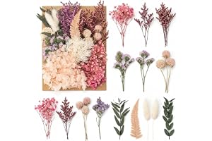 GWEOR Naturliga torkade blomkit, äkta pressade blommor för epoxiharts, scrapbooking och DIY-ljus, hantverksmaterial för smyck