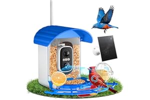 NIORSUN Mangeoire à Oiseaux avec Caméra 2K, Solaire, Reconnaissance IA des Oiseaux, Vision Nocturne Couleur Mangeoire Oiseaux Exterieur IP65 Notification Instantanée & Enregistrement Automatique