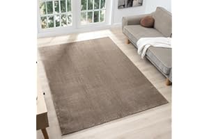 RUGS BY DESIRE Comfy Washable Modern Living Room Rug Polyester Plain Indoor Area Rug with Low Pile - Anti-Slip Felt Backing SuperSoft Carpet Bedroom-Hallway, Dark Beige, 120x160 cm
