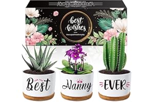 Buioata Gifts for Nan - Succulent Planters Nanny Gifts, Touching Sayings Engraved Gifts for Nanny, Nan birthday gifts, Nan Gifts for Birthday Christmas Thanksgiving Mothers Day