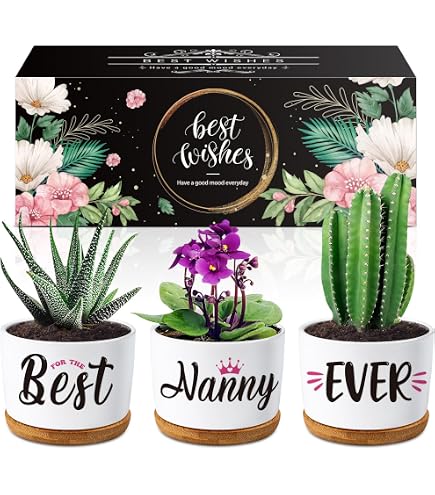 Sonnenfänger Geschenk Für Oma/Nanny – Schmetterling Mit Kristallen, 340mm, Bunt