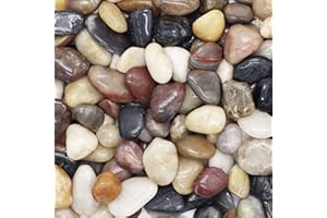 ICEBLUEOR Galets décoratifs de couleurs mélangées, 1 kg, pierres polies naturelles pour plantes, pots de fleurs, aquariums, aménagement paysager, bricolage, décoration de jardin (environ 1.3 à 3 cm)