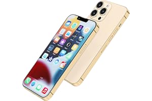 Perusha Without Logo Non-working Phone Dummy Display Model Pretend Phone toy for Phone 13 Pro Max 13 mini (6.7 inches, Gold Colorscreen)