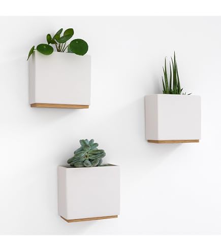 Planche Végétale DIY HOH! Plastique ABS Blanc Pour 6 Plantes Avec Substrat Et Instructions