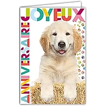 Black Lab Card 429 Carte D'anniversaire Labrador Retriever Noir (1