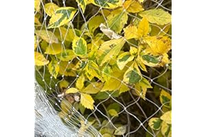 LINSOCLE Filet Anti Oiseaux et Anti Chat Blanc 3m x 10m - Filet Protection Jardin pour Balcons, Arbres Fruitiers, Légumes, Plantes, Poulaillers et Volières (Mailles 25mm x 25mm)