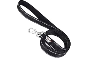 Hoof n Paw Training Lead For Dogs, Premium Nylon Puppy & Dog Lead, Padded Handle, Comfortable & Easy to Use Leash, For Small, Medium & Large Dogs (Black (Reflective), 1.2 metre (4 ft))