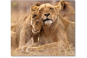 DEQORI Plaque de protection en verre Une pièce 60 x 52 cm Motif « Mère du lion avec enfant » Plaque de protection pour plaque de cuisson universelle Plaque en verre et planche à découper