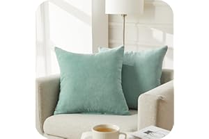 Topfinel Decorative Cushion Covers, 40 x 40 cm, Mint Green, Set of 2, Fluffy, Chenille Cushion Covers, Cuddly, Throw Pillow Covers, for Living Room, Sofa, Bed, Garden, Balcony, Children's Room