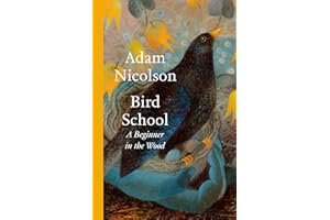 Bird School: A Beginner in the Wood – a profound and philosophical exploration of the birds all around us by bestselling and prize-winning author of the natural world