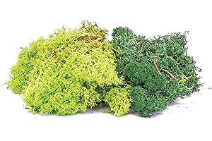 Hornby, Liquen, mezcla verde