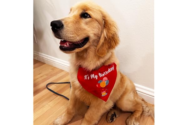 For The Fur Kids Birthday Dog Bandana, Dog Birthday Gift, Pet Accessories Gift