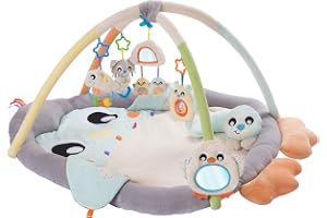 Playgro lek- och krypmatta med lekbåge, Pingvin, lämplig för nyfödda, 40220, i flera färger