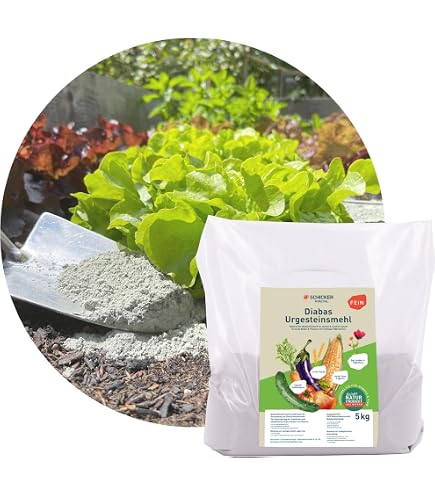 Urgesteinsmehl 5 Kg | Gesteinsmehl zur Bodenverbesserung | Fr Tiere und  Garten | Steinmehl Dnger zur Pflanzenstrkung und liefert wichtige  Nhrstoffe : Amazon.de: Garten
