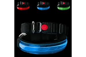 PETTY LED-hundhalsband för hund, uppladdningsbart med USB-C, justerbart nylonhalsband med 3 ljuslägen, blå, storlek XXS