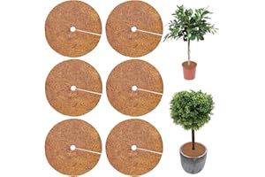 LYNBLY Disco di Cocco, 6 Pezzi 30cm Disco in Fibra di Cocco, Piante Fibre Cocco Pacciamatura, Copertura Invernale per Piante in Vaso, per Piante Protezione Antigelo Pacciamatura Cocco Tappetino