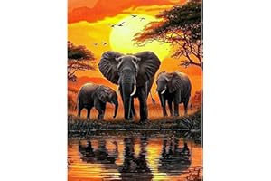 KEYIFA Elefant Malen Nach Zahlen Erwachsene, Malen Nach Zahlen Kits mit Pinseln und Acrylfarben, DIY Tier Ölgemälde Set Malen Basteln Leinwand Bild Erwachsene, Home Deko 30x40cm