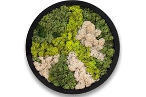 comforder Quadro da parete rotondo con vero muschio (diametro 38 cm), immagine muschio conservata con cornice in legno, decorazione da parete naturale per il soggiorno