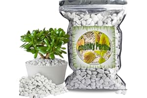 GOTVUGE Perlite grossière pour Plantes (1 à 2 cm de diamètre), additif Naturel pour Le Sol, améliore Le Drainage et la Ventilation, favorise la santé du Sol et la Croissance des Racines (4L)