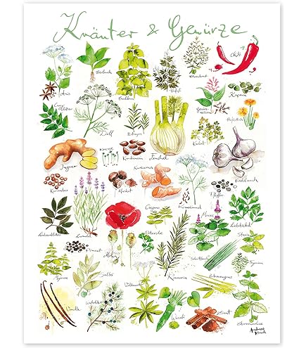 Medicinal Plants van Planet Poster Editions als poster, canvas print en meer