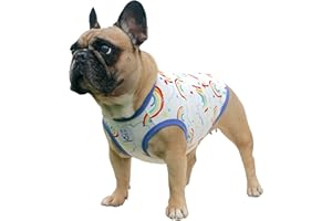 iChoue T-shirt motif bouledogue français, vêtements mignons pour chiens de taille moyenne, débardeurs, Frenchie English Boston Terrier, Pitbull, arc-en-ciel, taille L Plus