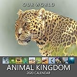 Our World: Animal Kingdom 2020 Animal Nature Wall Calendar