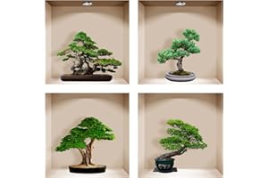 ^RTERBY'S Adesivi 3D Parete Muro - Nicchia Mensola Mobile a Giorno Faretti - Magici da Muro in Vinile Satinato Opaco HD - Fai da Te - Set da 4-30x30 cm - Made in Italy (Con Faretti, 005 Vasi Piante Bonsai)
