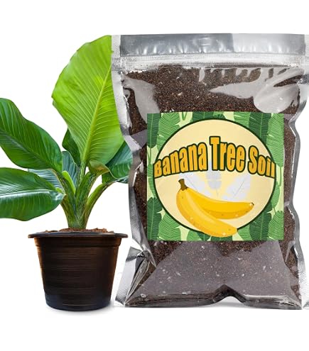 dünger ohne phosphat Dennerle Plant Care NPK main image 0