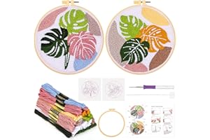 JSRQT 2 Pièces Punch Needle Broderie Kit Monstera Démarrage D'Aiguille de Poinçonner avec Instructions Débutants Crochet pour Adulte Enfant Débutant Crafts Broder Activité Manuelle Fleurs Plantes