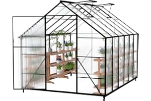 Froadp Serre en aluminium avec fondation 310 x 250 x 205 cm - Plaques creuses en polycarbonate de 4 mm - Résistant aux intempéries - Serre à tomates avec fenêtres - Pour jardin et élevage