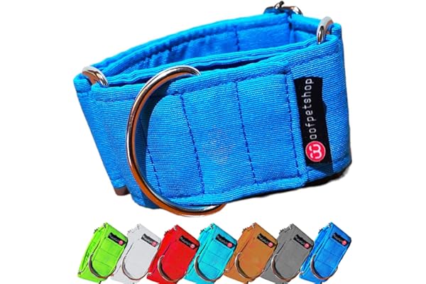 Woofpetshop® - Collares Martingales Liso/Correa/Cinturon Seguridad para Perro Galgo Greyhound - Hecho a Mano en España Color (Azul)