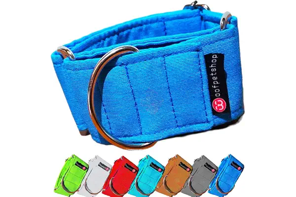 Woofpetshop® - Collares Martingales Liso/Correa/Cinturon Seguridad para Perro Galgo Greyhound - Hecho a Mano en España Color (Azul)