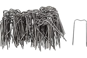 VBS Cavaliers brevetés, 100 pc.