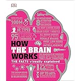 How the Brain Works: The Facts Visually Explained (How It Works)
