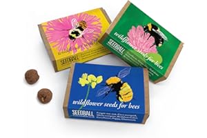 SEEDBALL Bumble Bee Mix Seed Bombs (3X Wild Flower Match Boxes, 6 Balls Per Box), Bee Friendly British Wildflower Seeds | Gardening Gifts for Women & Men, Seed Bomb with Poppy, Cornflower, and More