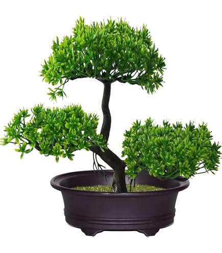 Cipresso artificiale Bonsai, pianta in vaso realistica, per interni ed esterni, albero di simulazione decorativo, larghezza 28 cm, piante artificiali sempreverdi come reali per casa, balcone e ufficio